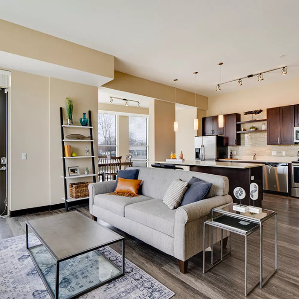 Bright open-plan living room with a gray sofa, patterned rug, and a modern kitchen with dark cabinets and stainless steel appliances.